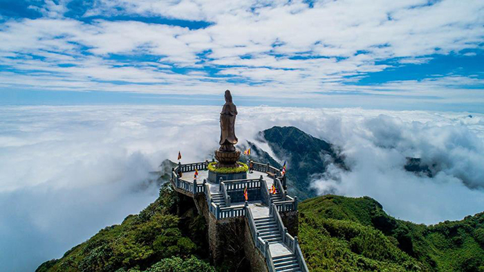 Tam giác mạch nở bạt ngàn, còn chần chừ gì mà không đến Fansipan?