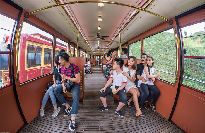 Tam giác mạch nở bạt ngàn, còn chần chừ gì mà không đến Fansipan?