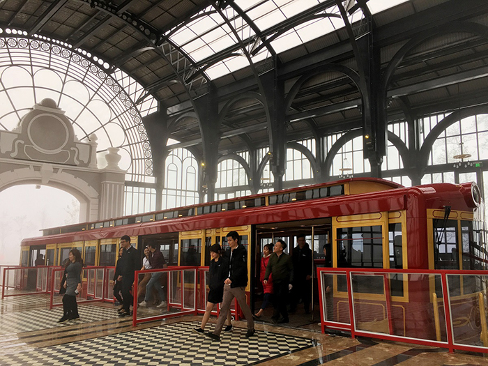 Tam giác mạch nở bạt ngàn, còn chần chừ gì mà không đến Fansipan?