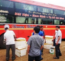 nghe an bat giu hon 5 ta thuc pham ban dang tren duong di tieu thu