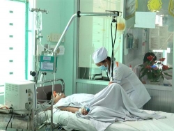 8050 ca mac sot xuat huyet tai khanh hoa