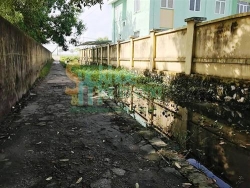 thanh hoa dan mon moi cho duong dan sinh