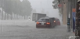 nghe an anh huong cua khong khi lanh thanh pho chim trong bien nuoc