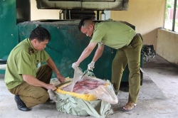 lang son thu giu 400 kg nam lon nhap lau khong dam bao ve sinh an toan thuc pham