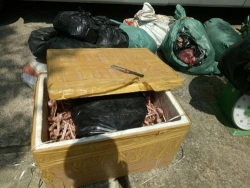 tang cuong kiem tra dam bao an toan thuc pham trong truong hoc va khu cong nghiep