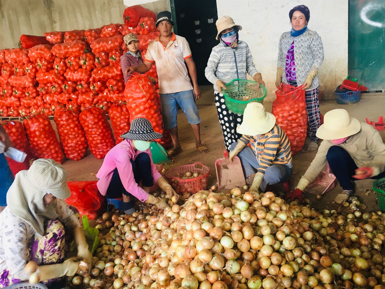 L&acirc;m Đồng x&acirc;y dựng chuỗi li&ecirc;n kết từ sản xuất tới ti&ecirc;u d&ugrave;ng để đảm bảo an to&agrave;n thực phẩm