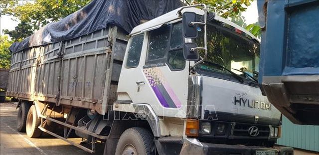 B&igrave;nh Phước: Đổ trộm r&aacute;c thải, t&agrave;i xế bị rắn độc cắn trong l&uacute;c bỏ trốn