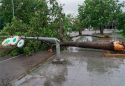 binh dinh 2 nguoi bi thuong 144 can nha sap hoan toan do anh huong cua bao so 5