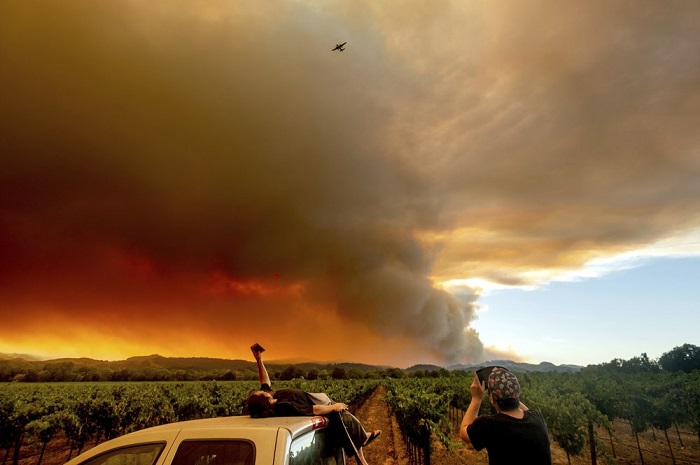 Cháy rừng ở California, Mỹ thiêu đốt kỷ lục 4 triệu mẫu đất đai