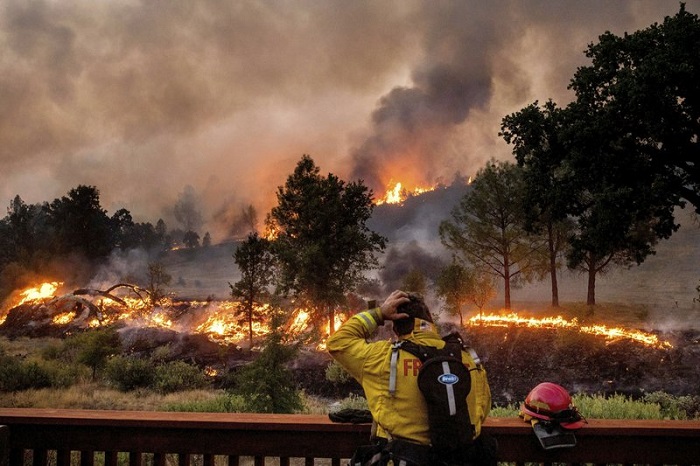 Cháy rừng ở California, Mỹ thiêu đốt kỷ lục 4 triệu mẫu đất đai