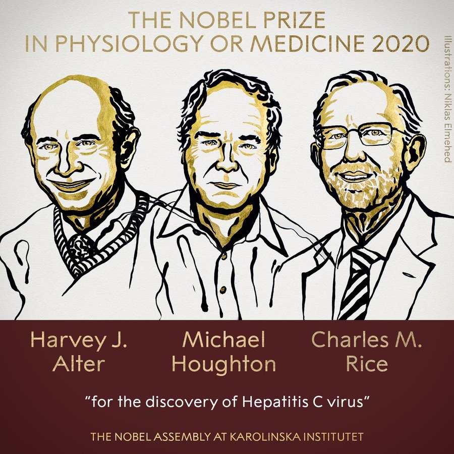 Nobel Y học 2020 được trao cho việc khám phá ra siêu vi gan C