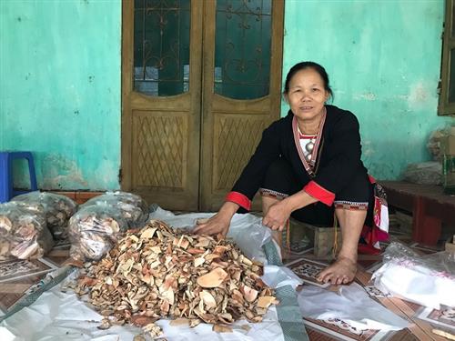 Chuyện phương thuốc nơi rẻo cao - Kỳ 3