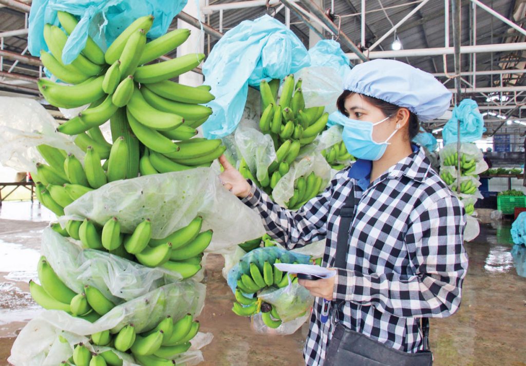 Long An: Tăng cường xúc tiến thương mại, khơi thông thị trường nông sản