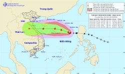 bao so 8 di chuyen theo huong tay tay bac gay mua dong manh o vung bien tu binh thuan den kien giang va vinh thai lan