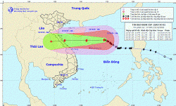 tin khan cap ve bao so 8 giat cap 15