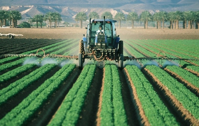 Châu Âu gắn sản xuất nông nghiệp với tiêu chuẩn về môi trường