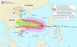 bao so 9 do bo dat lien ap sat cac tinh mien trung