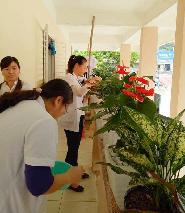 Bệnh viện Đa khoa tỉnh Cao Bằng tích cực giảm thiểu chất thải nhựa, bảo đảm vệ sinh môi trường