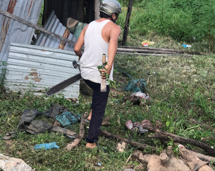 Cư M’gar, tỉnh Đắk Lắk: Ngang nhiên chặt phá cây trồng trên đất người khác, không bị chính quyền địa phương xử lý