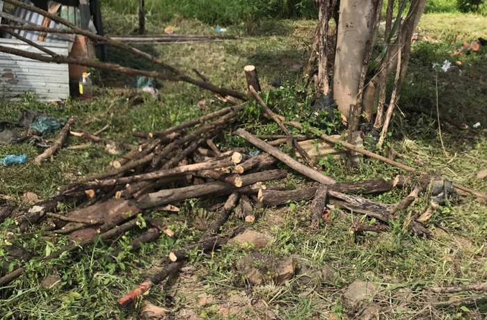 Cư M’gar, tỉnh Đắk Lắk: Ngang nhiên chặt phá cây trồng trên đất người khác, không bị chính quyền địa phương xử lý