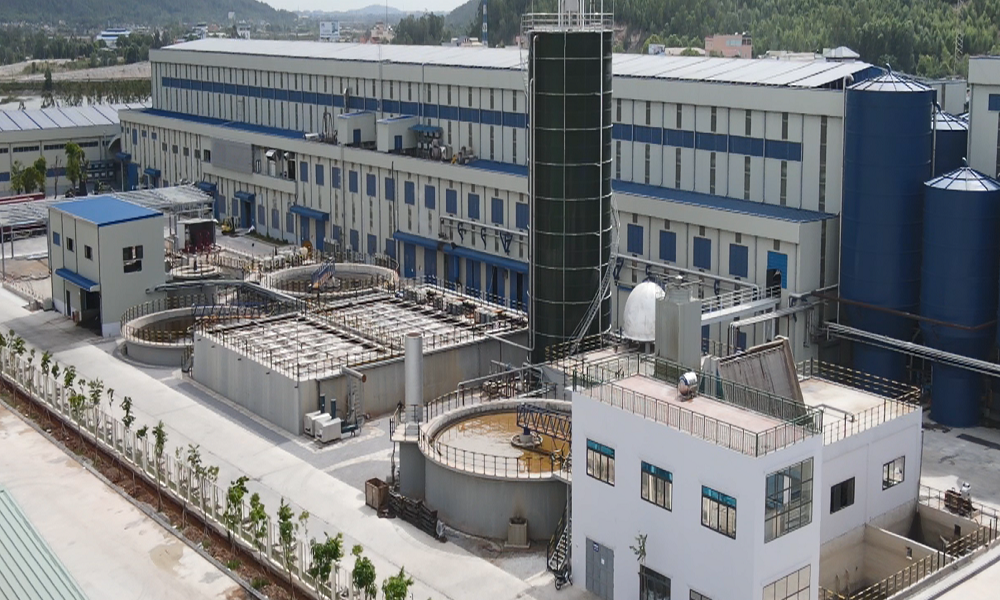 Công ty TNHH Miza Nghi Sơn: Trách nhiệm bảo vệ môi trường gắn với lợi ích kinh tế