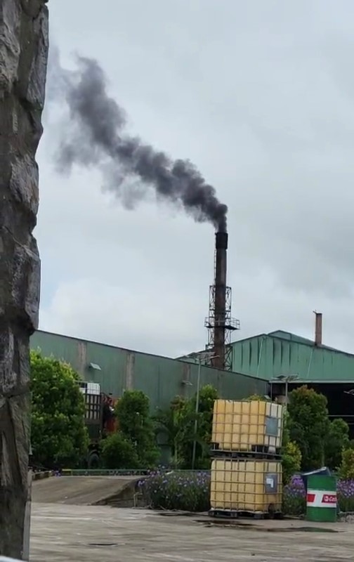 Bình Phước: Công ty cổ phần Môi trường Thảo Dương Xanh nói gì khi bị phản ánh gây ô nhiễm môi trường?