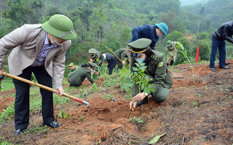 Yên Bái: Trồng và bảo vệ rừng - Tiền đề phát triển bền vững