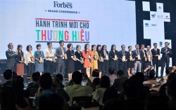 vinamilk thuong hieu ty usd duy nhat trong top 25 thuong hieu fb dan dau cua forbes viet nam
