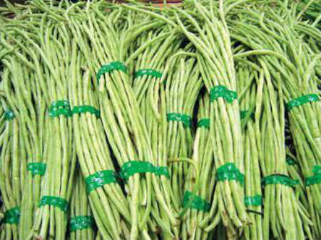 thuốc k&amp;iacute;ch th&amp;iacute;ch tăn,rau,đậu đũa,phun thuốc,thuốc trừ s&amp;acirc;u,người ti&amp;ecirc;u d&amp;ugrave;ng,ngộ độc