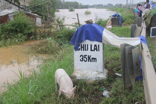 30 người chết vì mưa lũ, quốc lộ 1 bị chia cắt