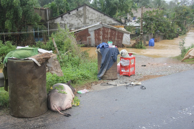 30 người chết vì mưa lũ, quốc lộ 1 bị chia cắt