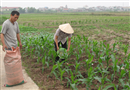 bien rac thai thanh hoa mau
