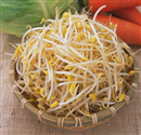 gia do nhiem khuan gay chet nguoi