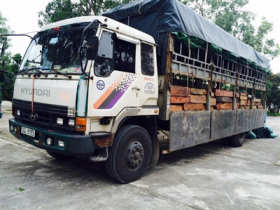 thanh hoa bat giu vu van chuyen hon 6m3 go lau