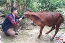 dich lo mom long mong co nguy co bung phat tai tinh ha tinh