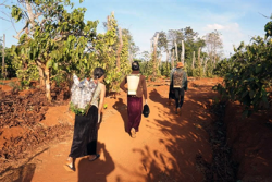 kon tum 81 cong trinh nuoc sinh hoat nong thon bi bo hoang