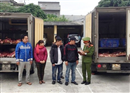 ninh binh bat giu gan 1 tan thit bo khong ro nguon goc