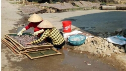 bao dong o nhiem moi truong lang nghe che bien thuy hai san o thanh hoa