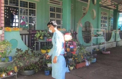 vinh long benh tay chan mieng tang nhanh