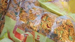 tieu huy gan mot tan kho ga khong ro nguon goc