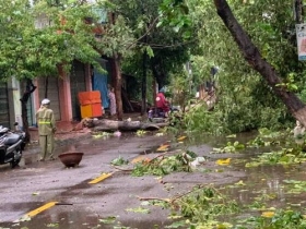 phu yen thiet hai hon 100 ti dong do bao so 5
