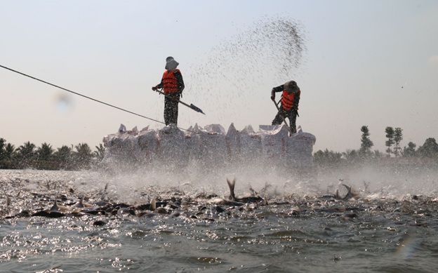 Hoa Kỳ công nhận tương đương hệ thống kiểm soát an toàn thực phẩm cá da trơn của Việt Nam