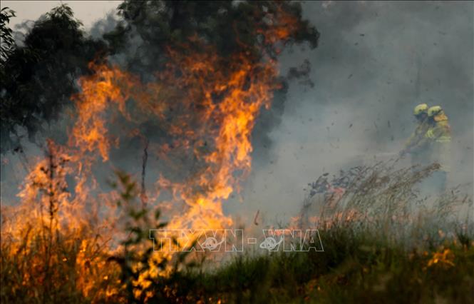 Thêm 50 ngôi nhà bị phá huỷ do cháy rừng ở Australia