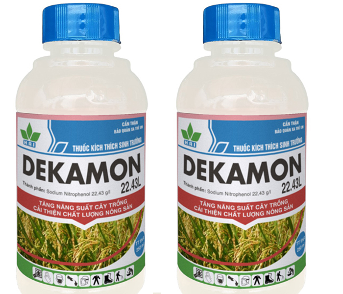 DEKAMON 22.43SL: Giải ph&aacute;p hiệu quả cho người d&acirc;n chăm s&oacute;c hoa, c&acirc;y kiểng phục vụ Tết