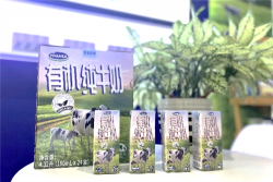 vinamilk ra mat sua tuoi organic tieu chuan kep trong trien lam quoc te hang dau tai thuong hai