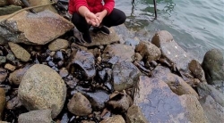 tran dau tu tau nhap dau tai khu vuc cang vung ang ha tinh