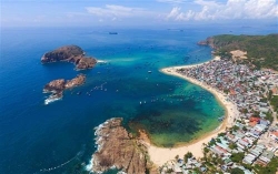 binh dinh to chuc hoi nghi xuc tien dau tu voi ha lan trong thang 11