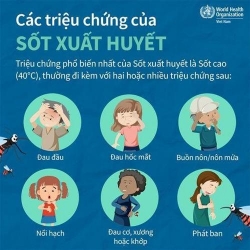 canh bao nguy hiem trong sot xuat huyet o tre em