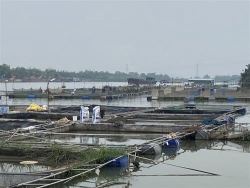 hai duong moi truong nuoc dang bi o nhiem