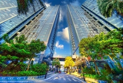 nhung khu vuon trong pho dat gia cua nha sunshine